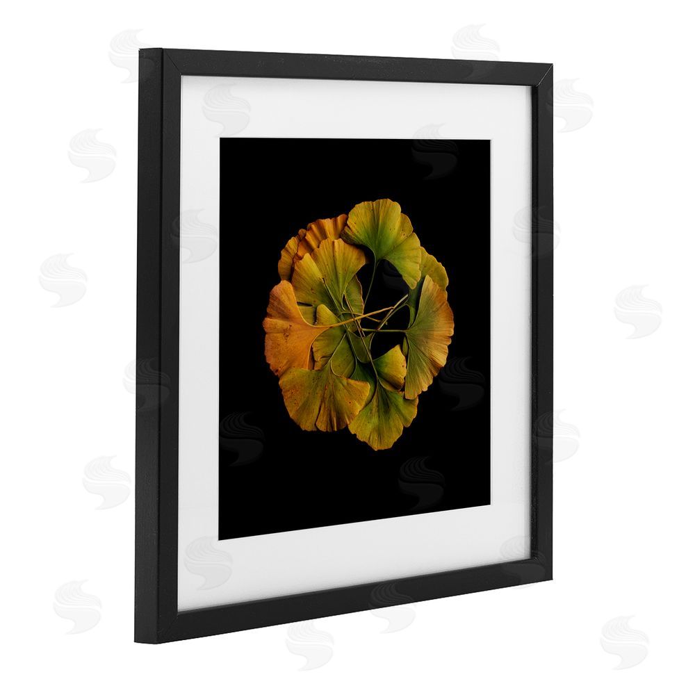 Beth Adoette Overlapping Ginkgo Leaves Black Framed Print Under Glass Wall Art