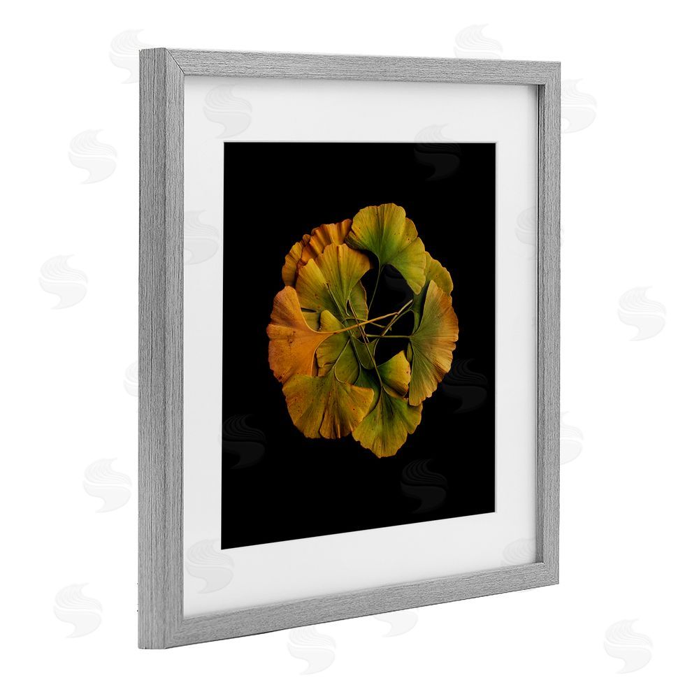 Beth Adoette Overlapping Ginkgo Leaves Gray Framed Print Under Glass Wall Art