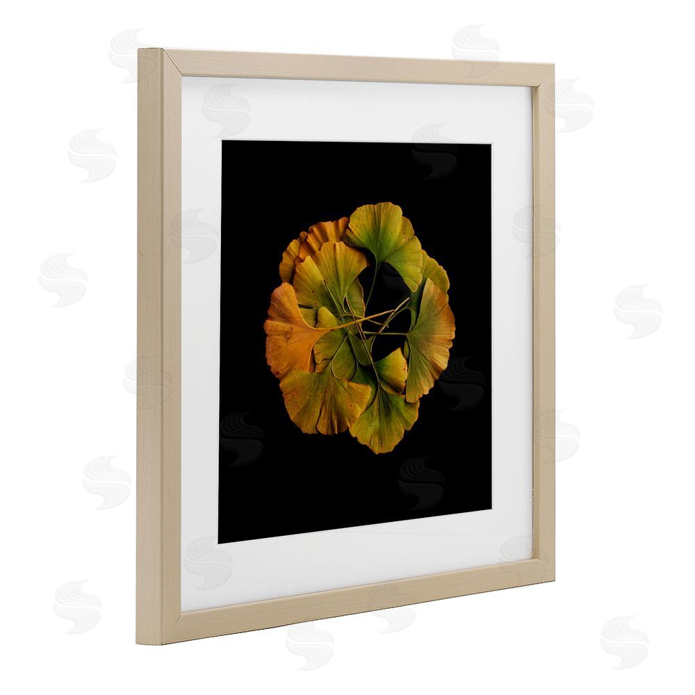 Beth Adoette Overlapping Ginkgo Leaves Brown Framed Print Under Glass Wall Art