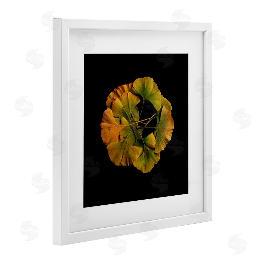 Beth Adoette Overlapping Ginkgo Leaves White Framed Print Under Glass Wall Art