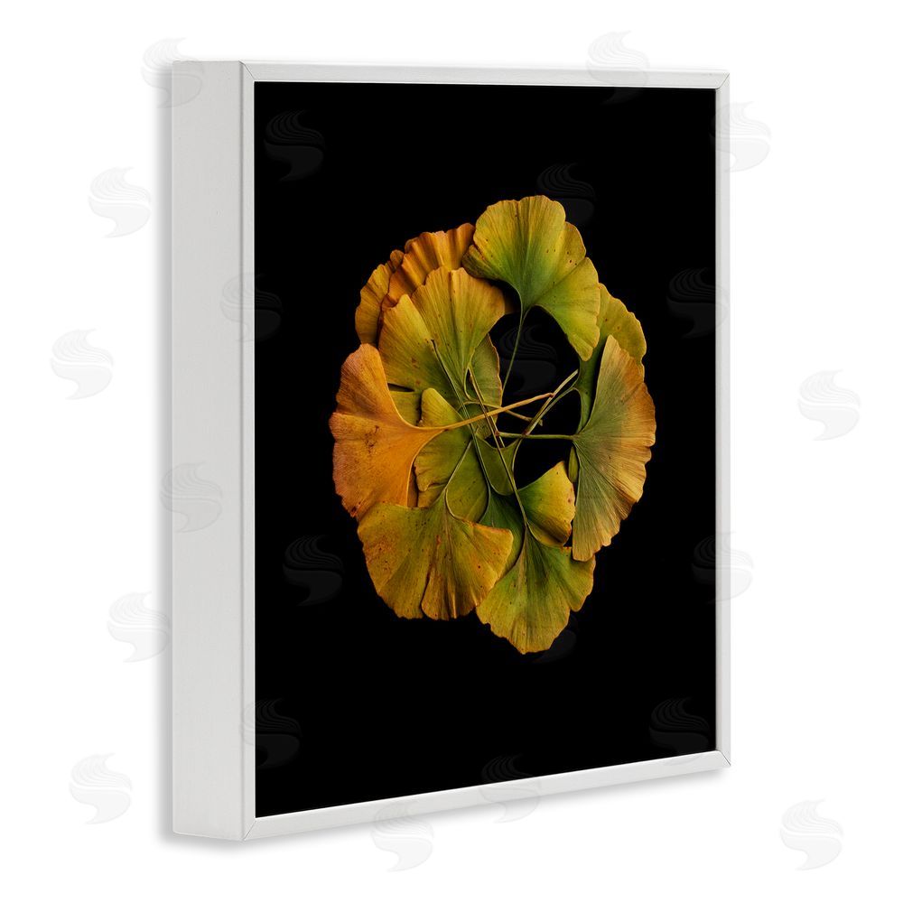 Beth Adoette Overlapping Ginkgo Leaves White Framed Giclee Wall Art Print