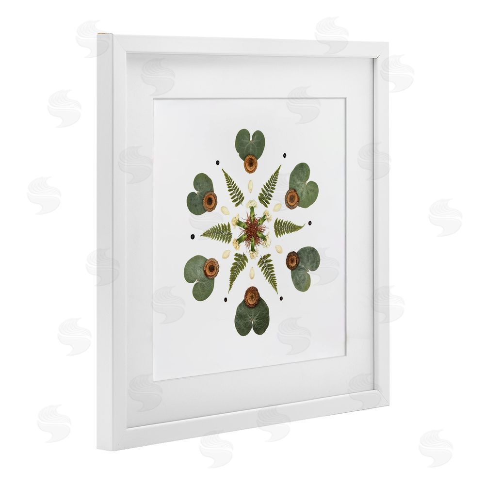 Beth Adoette Lily Pad & Fern Mandala White Framed Print Under Glass Wall Art