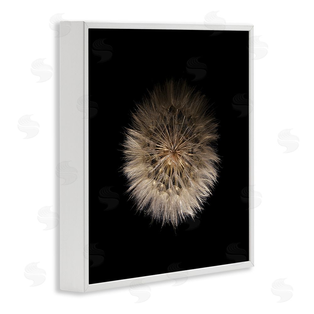 Beth Adoette Wispy Dandelion on Black White Framed Giclee Wall Art Print
