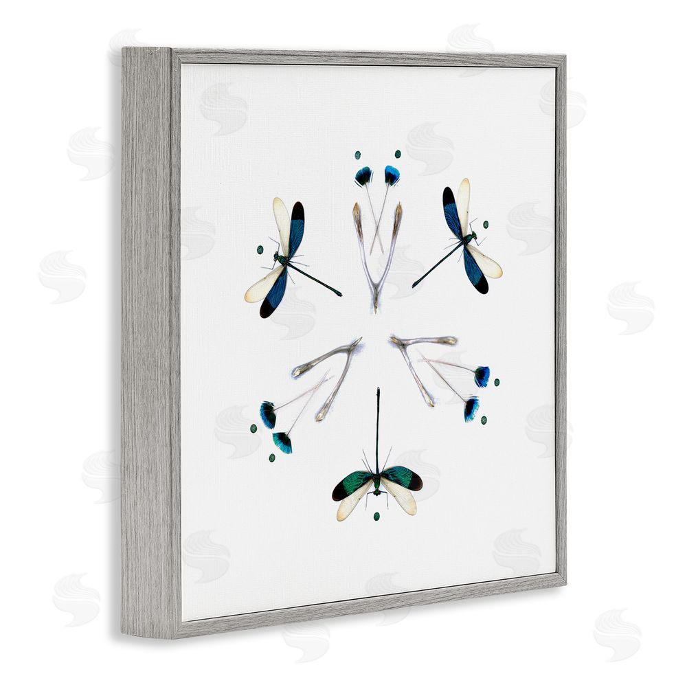 Beth Adoette Simple Dragonfly Symmetry Gray Framed Giclee Wall Art Print