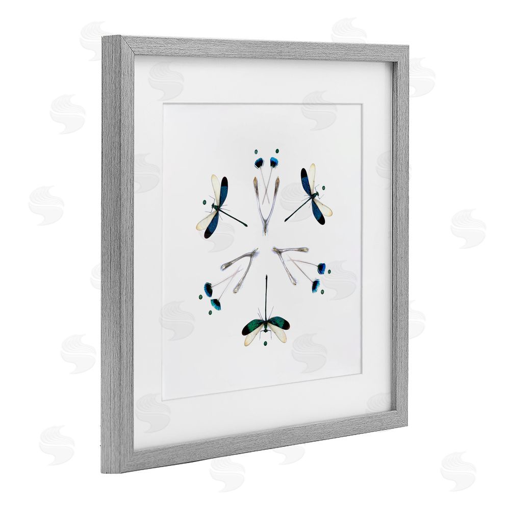 Beth Adoette Simple Dragonfly Symmetry Gray Framed Print Under Glass Wall Art