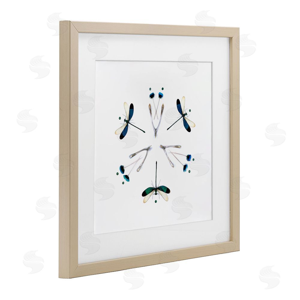 Beth Adoette Simple Dragonfly Symmetry Brown Framed Print Under Glass Wall Art