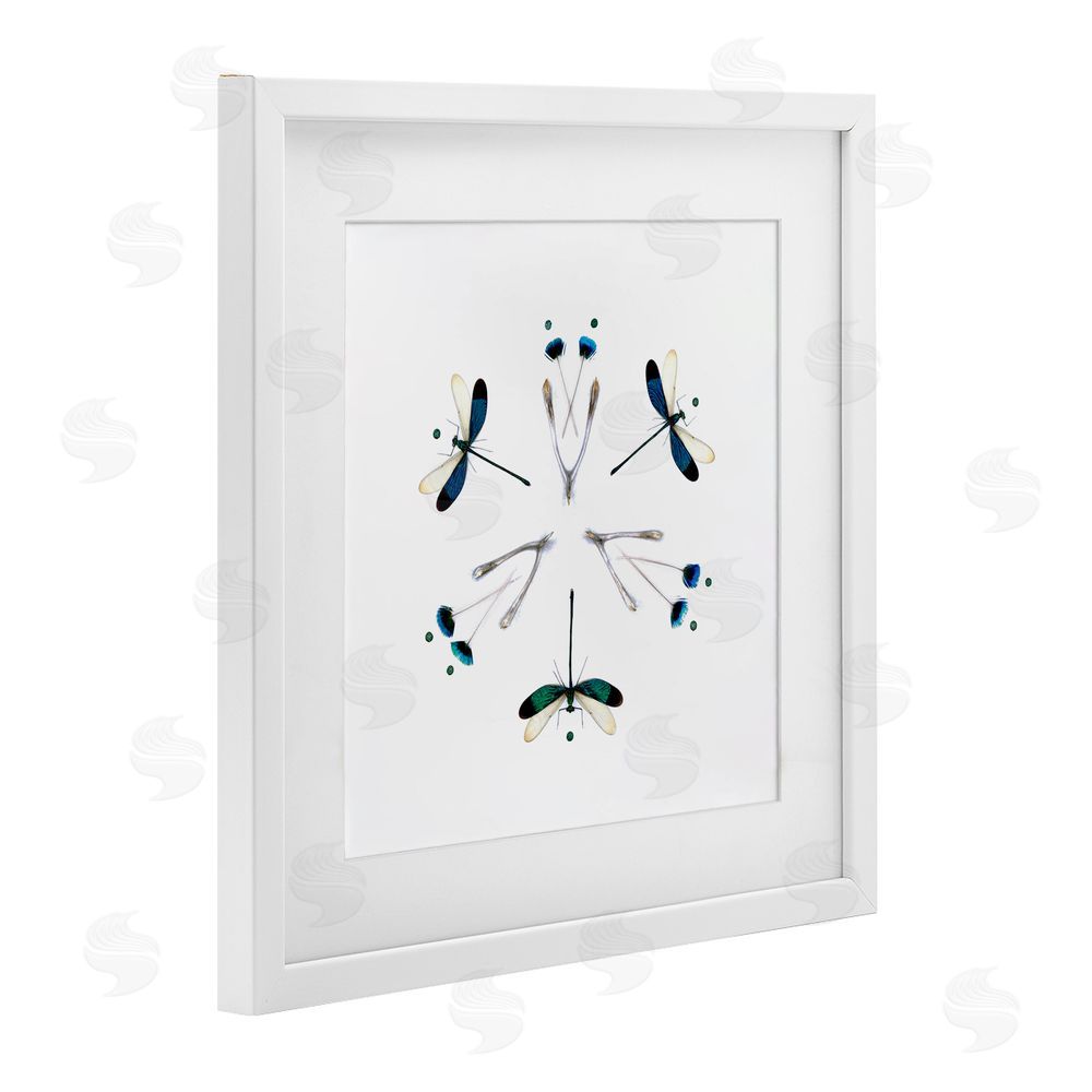 Beth Adoette Simple Dragonfly Symmetry White Framed Print Under Glass Wall Art