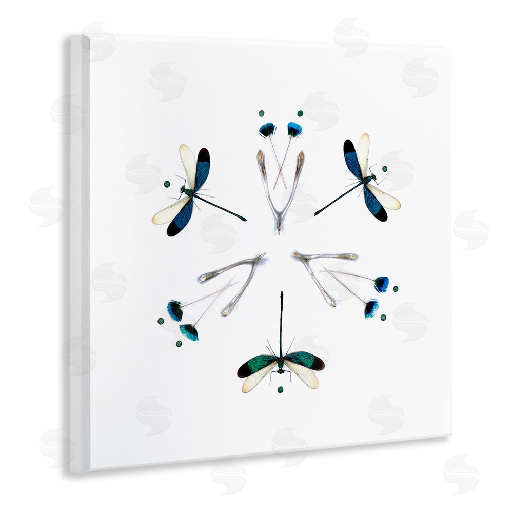 Beth Adoette Simple Dragonfly Symmetry Wooden Wall Plaque Art Print