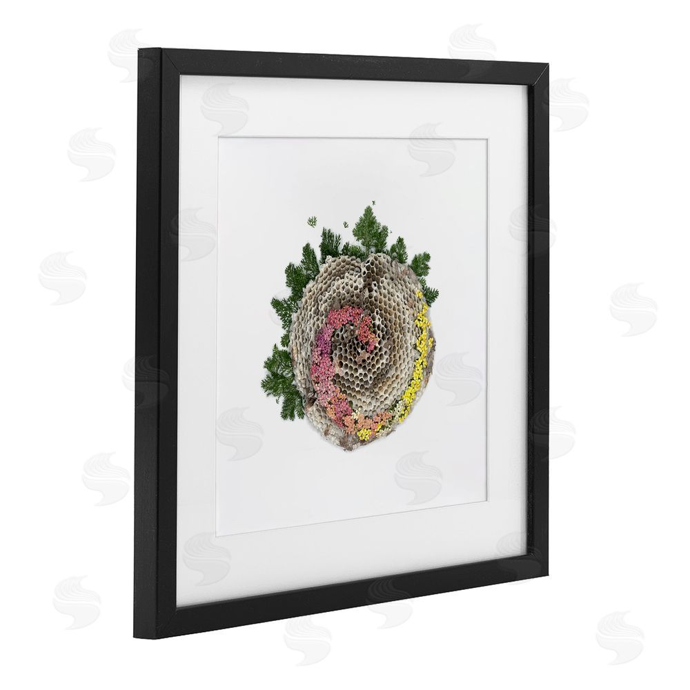Beth Adoette Honeycomb with Botanicals Black Framed Print Under Glass Wall Art