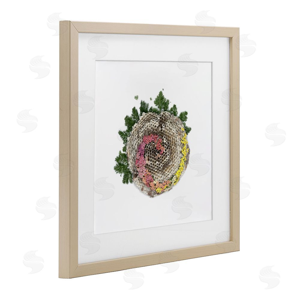 Beth Adoette Honeycomb with Botanicals Brown Framed Print Under Glass Wall Art