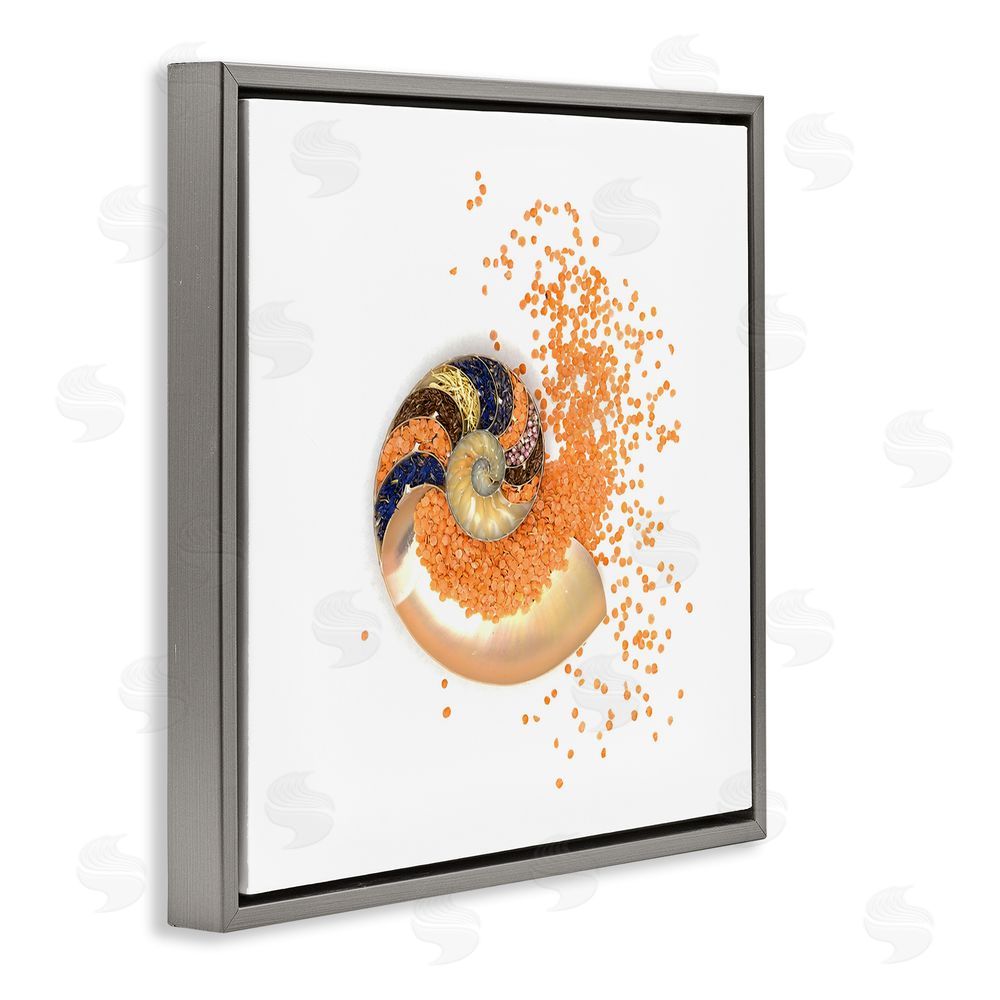 Beth Adoette Orange Nautilus Spiral Gray Floating Frame Canvas Wall Art Print