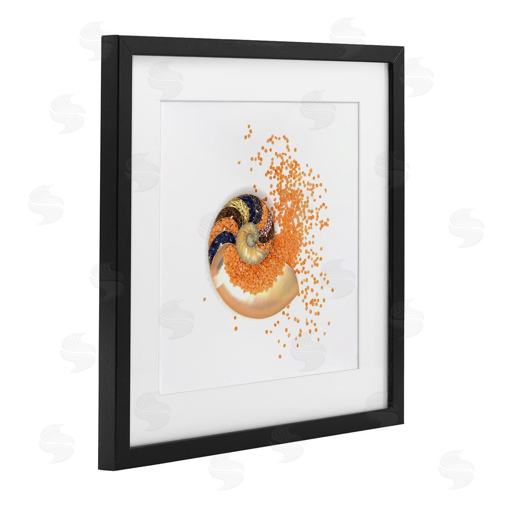 Beth Adoette Orange Nautilus Spiral Black Framed Print Under Glass Wall Art