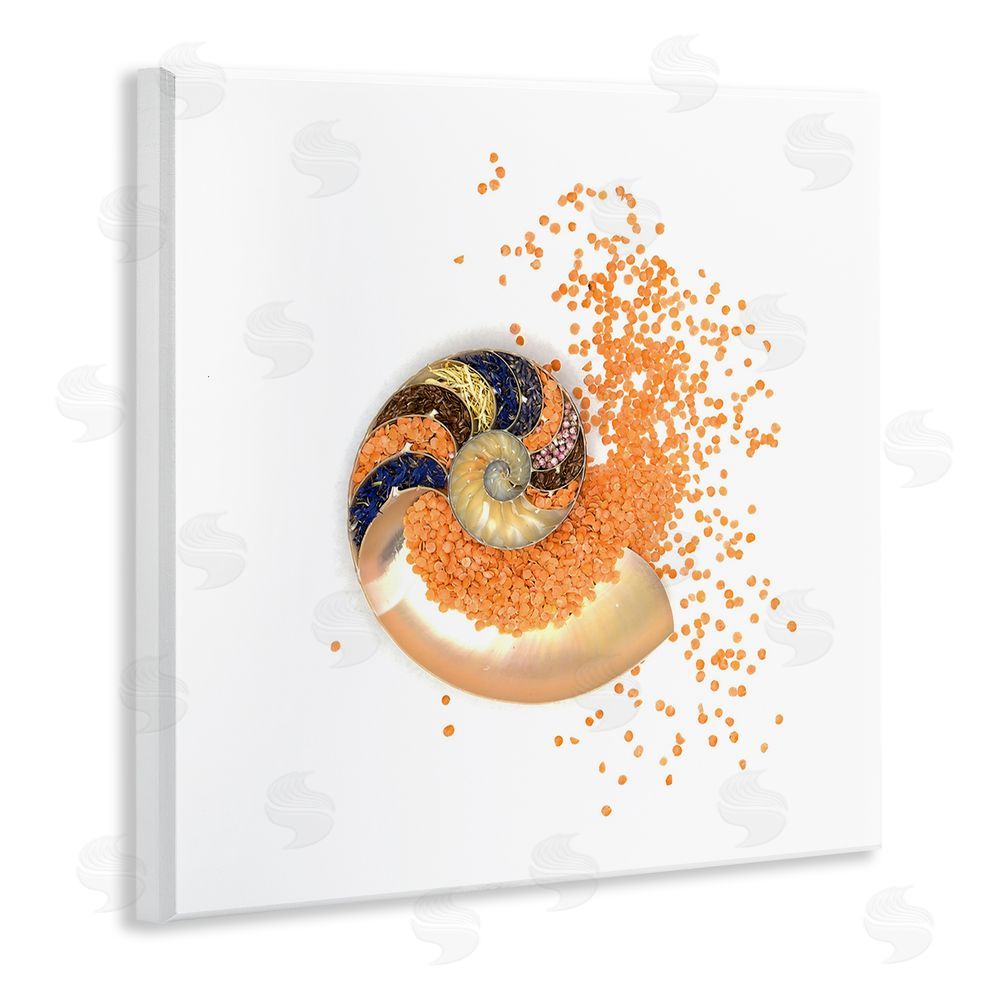Beth Adoette Orange Nautilus Spiral Wooden Wall Plaque Art Print