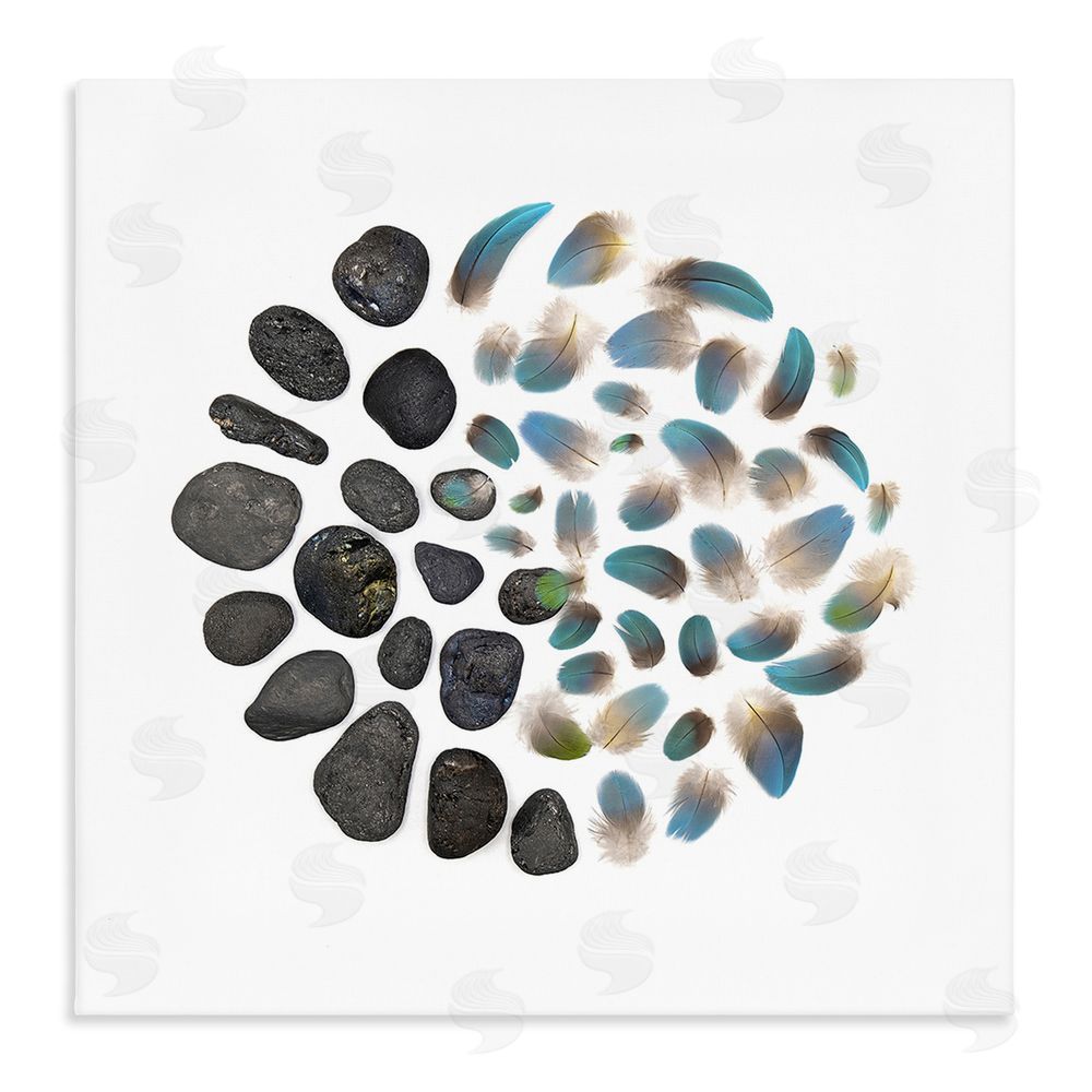 Beth Adoette Feathers & Rocks Collection Stretched Canvas Wall Art Print