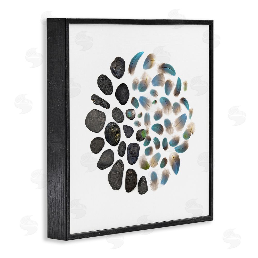 Beth Adoette Feathers & Rocks Collection Black Framed Giclee Wall Art Print
