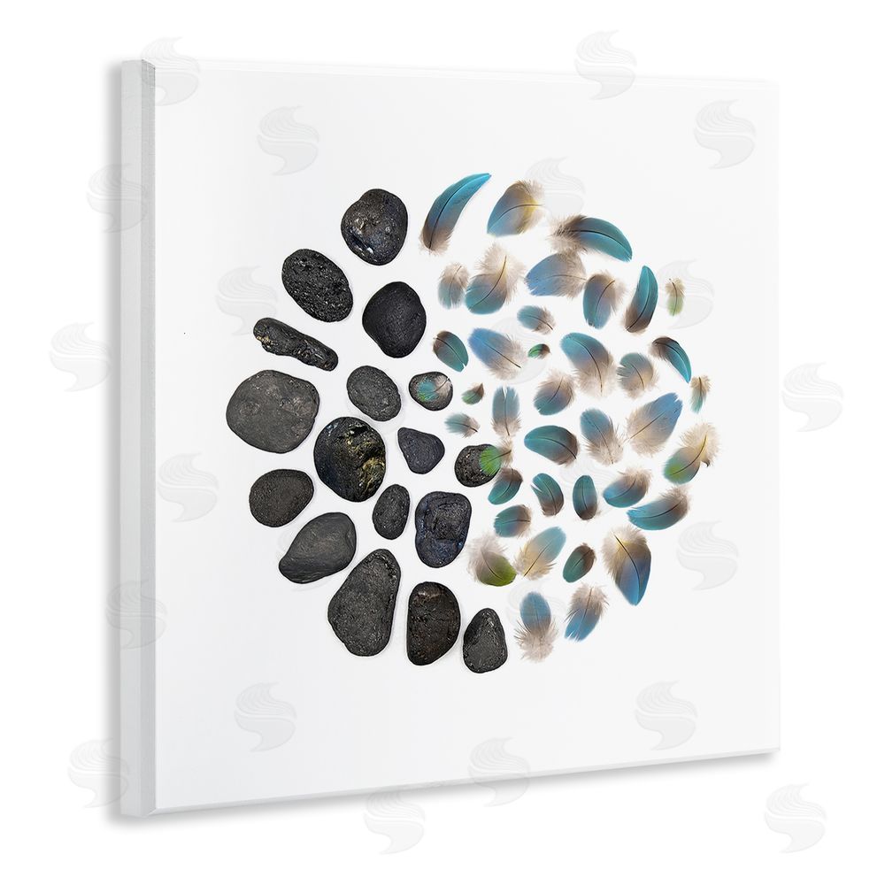 Beth Adoette Feathers & Rocks Collection Wooden Wall Plaque Art Print