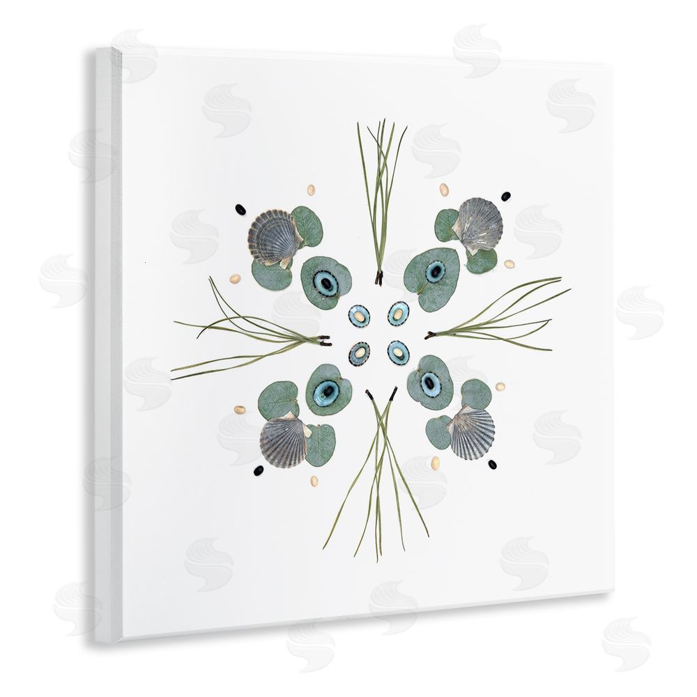 Beth Adoette Seashell & Leaf Symmetry Wooden Wall Plaque Art Print