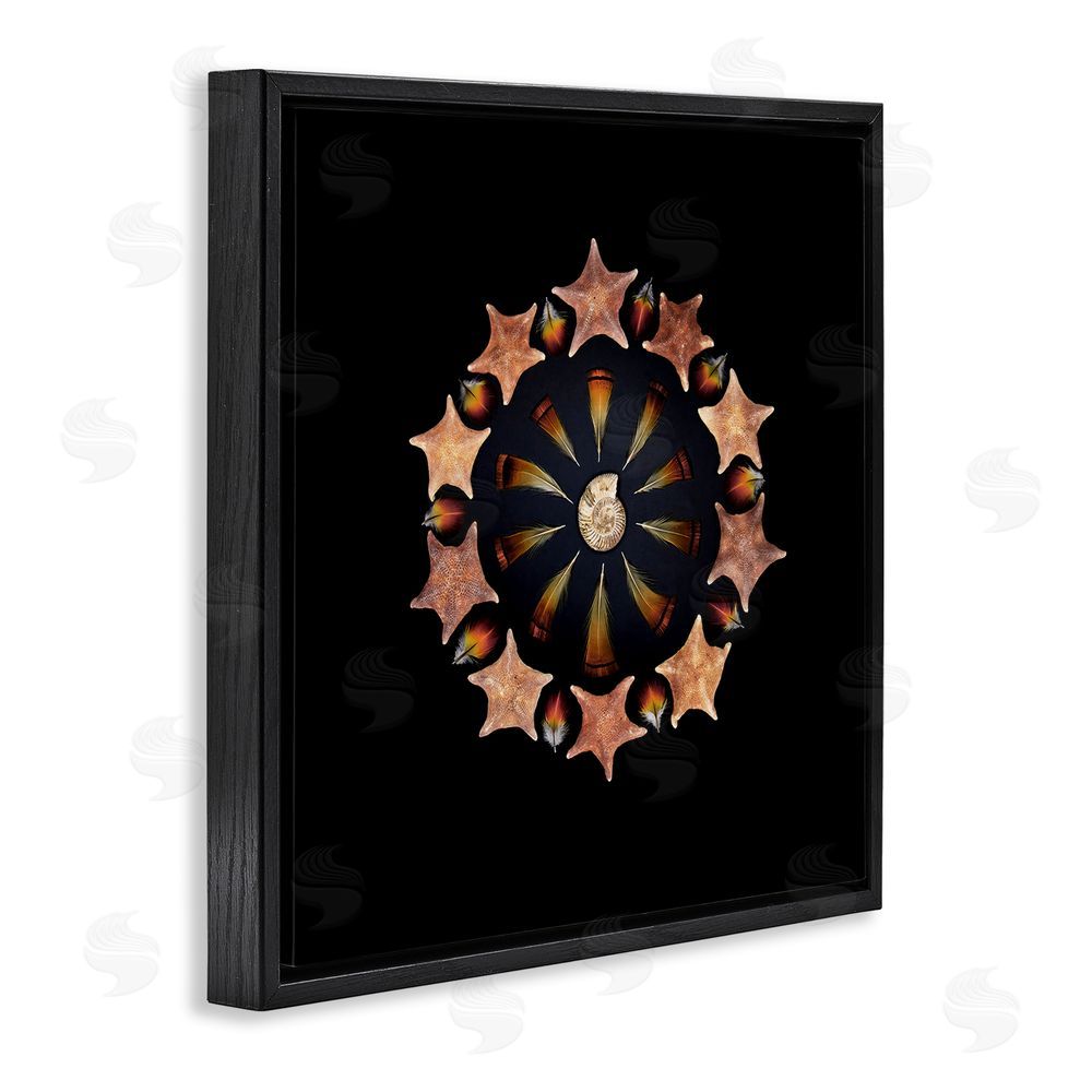 Beth Adoette Nautical Nature Arrangement Black Floating Frame Canvas Wall Art Print