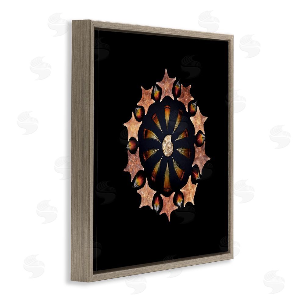 Beth Adoette Nautical Nature Arrangement Brown Floating Frame Canvas Wall Art Print