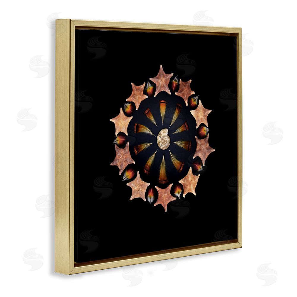 Beth Adoette Nautical Nature Arrangement Gold Floating Frame Canvas Wall Art Print