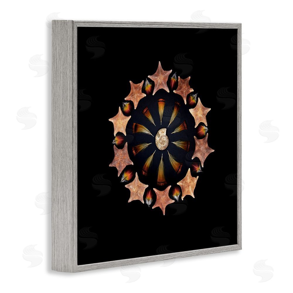 Beth Adoette Nautical Nature Arrangement Gray Framed Giclee Wall Art Print