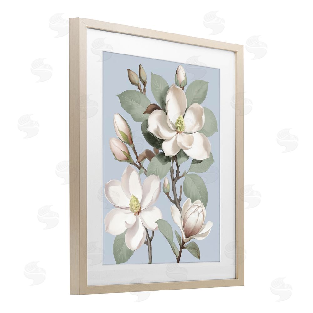 Elizabeth Medley Magnolias on Soft Blue Brown Framed Print Under Glass Wall Art
