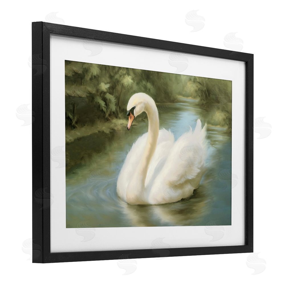 Elizabeth Medley Beautiful Swan Floating Gracefully Black Framed Print Under Glass Wall Art