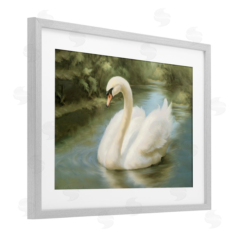 Elizabeth Medley Beautiful Swan Floating Gracefully Gray Framed Print Under Glass Wall Art