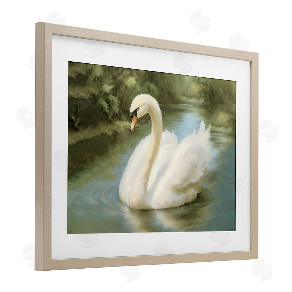 Elizabeth Medley Beautiful Swan Floating Gracefully Brown Framed Print Under Glass Wall Art