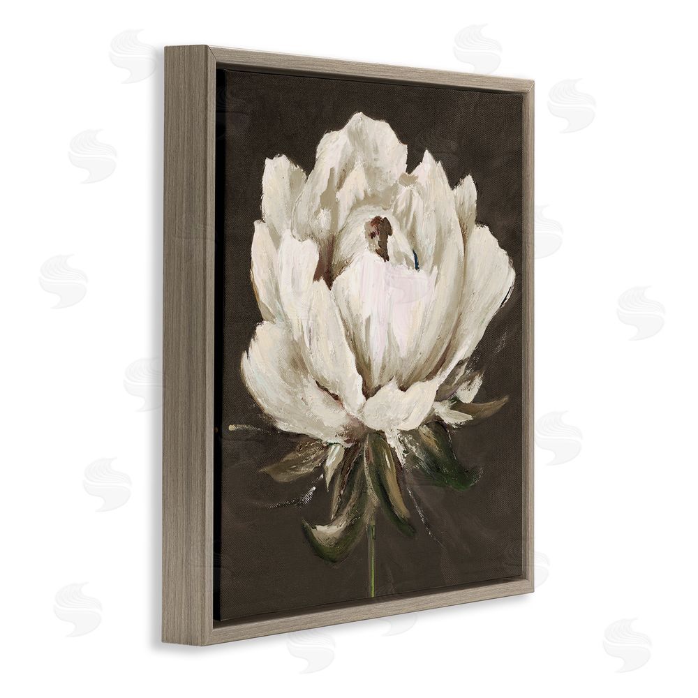 Patricia Pinto Pretty Rose Bloom on Brown Brown Floating Frame Canvas Wall Art Print
