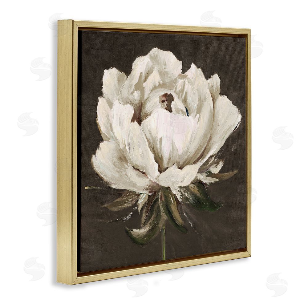 Patricia Pinto Pretty Rose Bloom on Brown Gold Floating Frame Canvas Wall Art Print