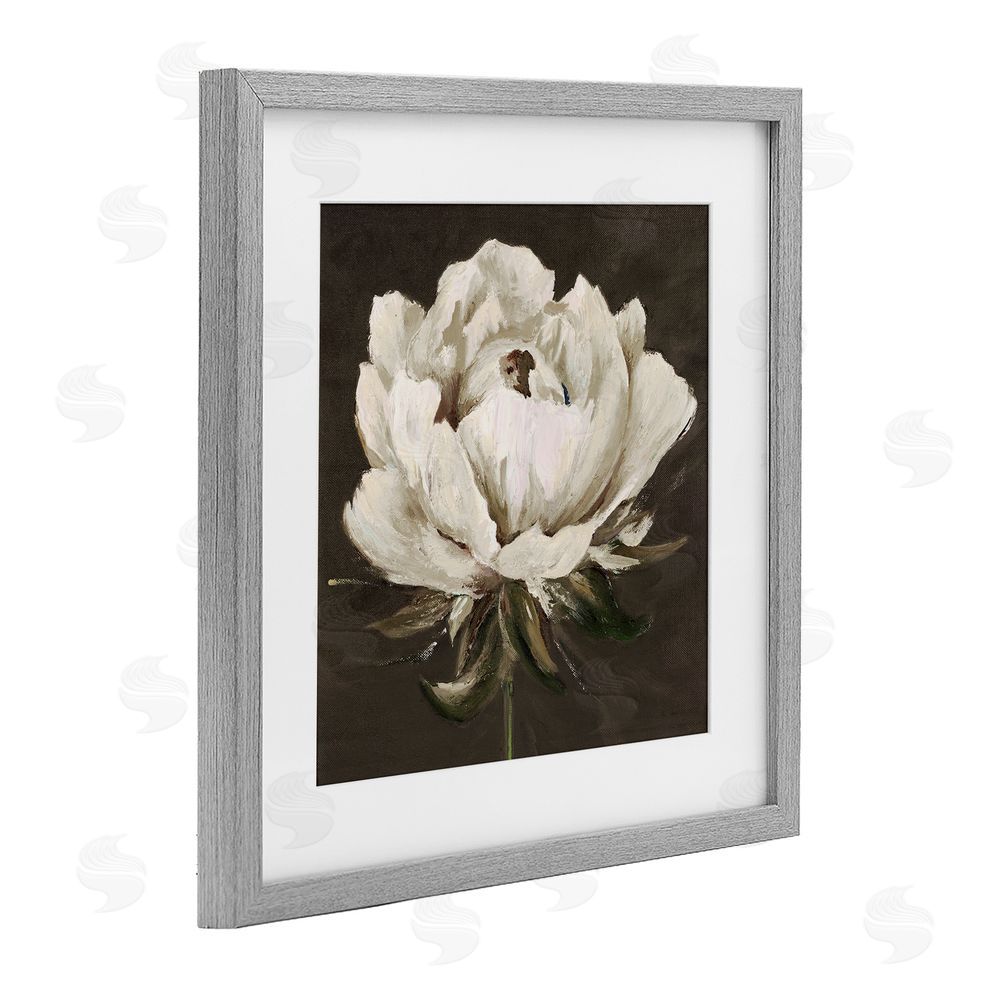 Patricia Pinto Pretty Rose Bloom on Brown Gray Framed Print Under Glass Wall Art