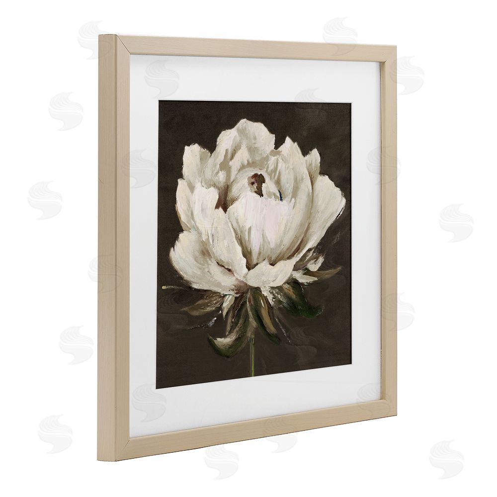 Patricia Pinto Pretty Rose Bloom on Brown Brown Framed Print Under Glass Wall Art
