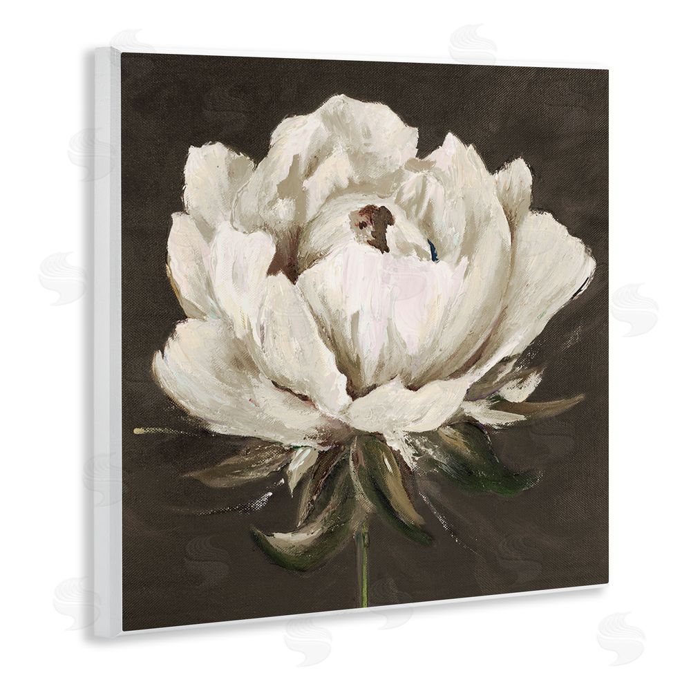 Patricia Pinto Pretty Rose Bloom on Brown Wooden Wall Plaque Art Print