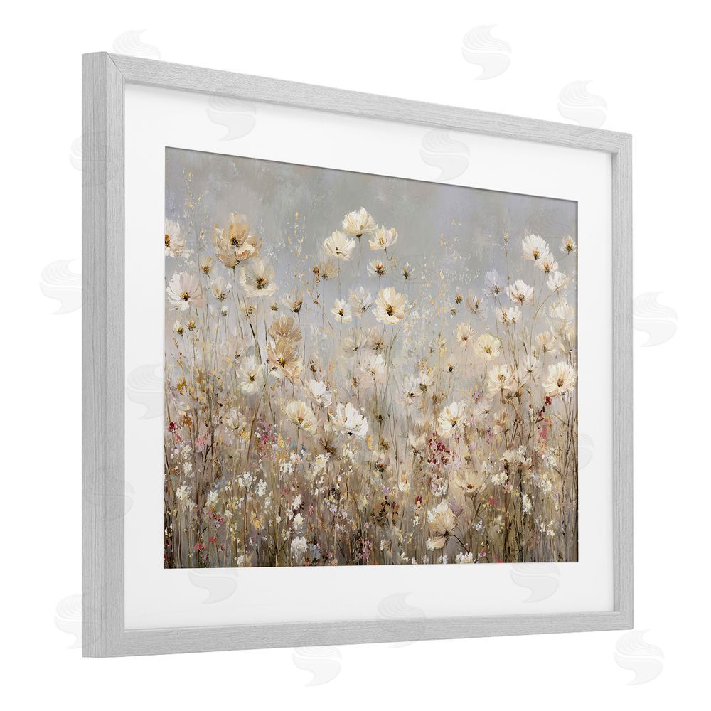 Jacky Ngan White Daisy Clusters Meadow Gray Framed Print Under Glass Wall Art