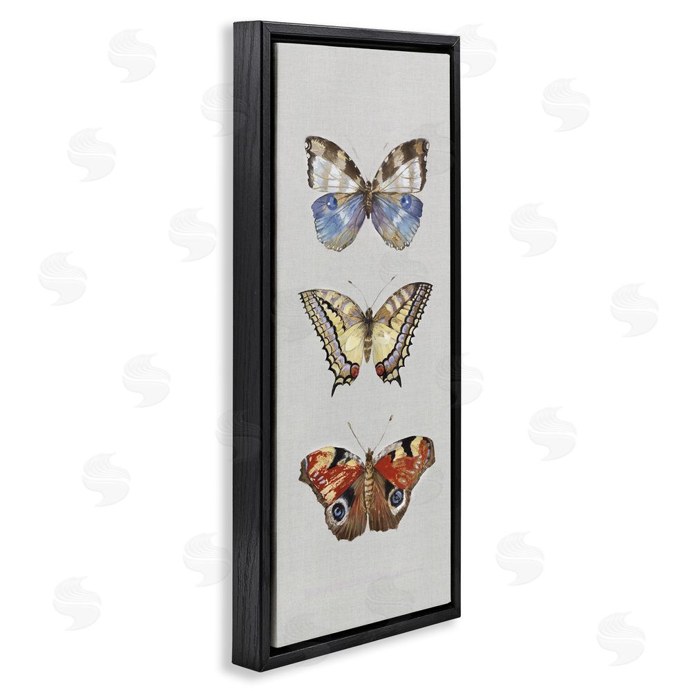 Maya Woods Butterfly Trio Symmetry Black Floating Frame Canvas Wall Art Print