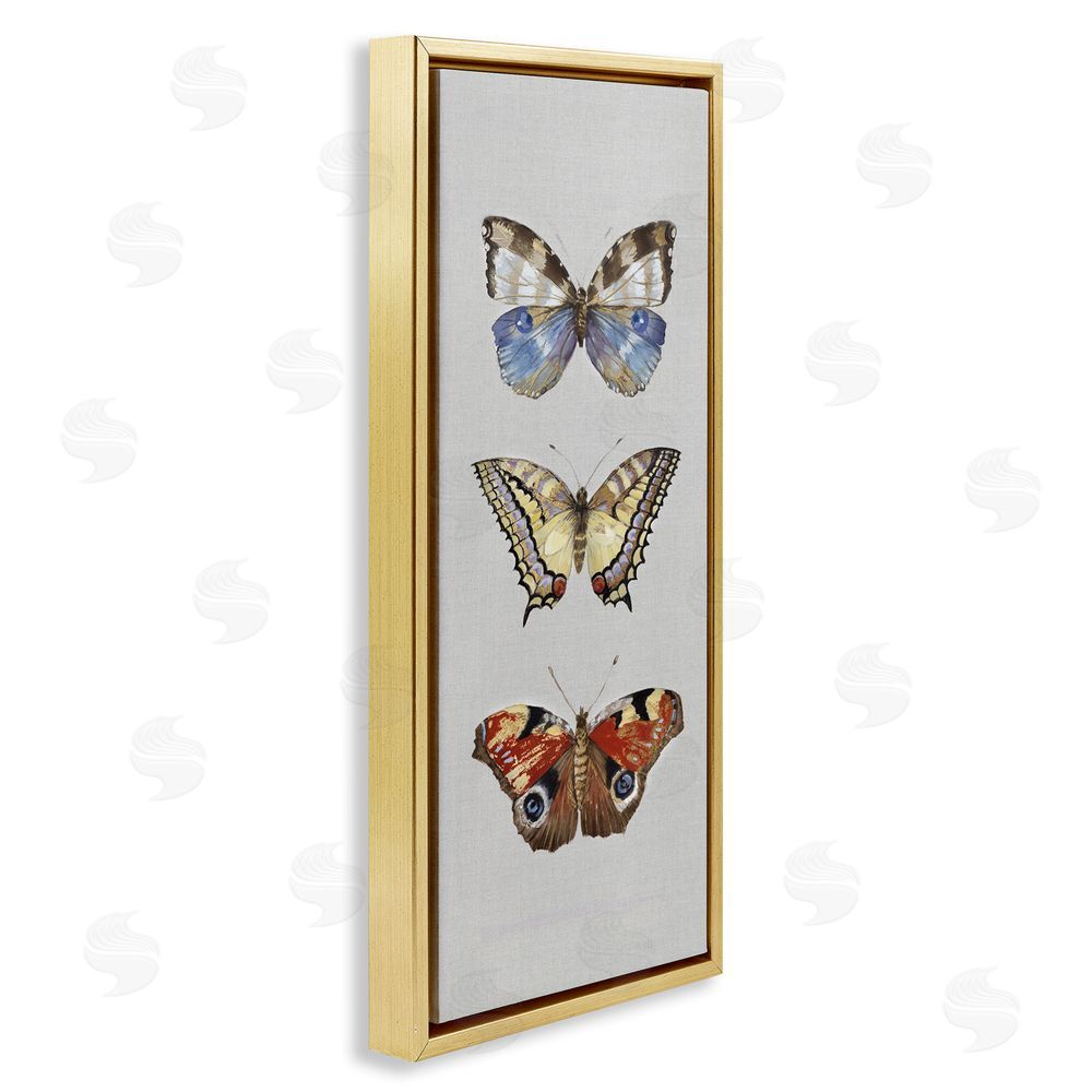 Maya Woods Butterfly Trio Symmetry Gold Floating Frame Canvas Wall Art Print