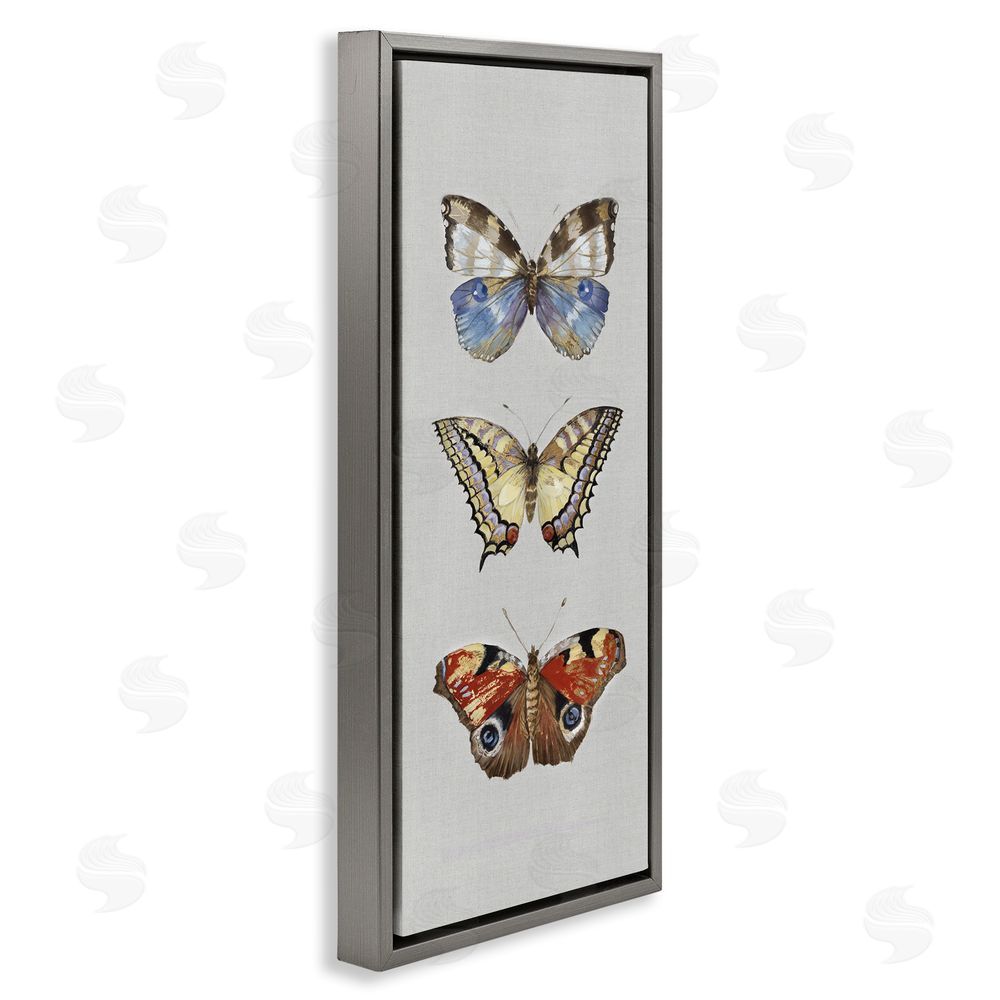 Maya Woods Butterfly Trio Symmetry Gray Floating Frame Canvas Wall Art Print