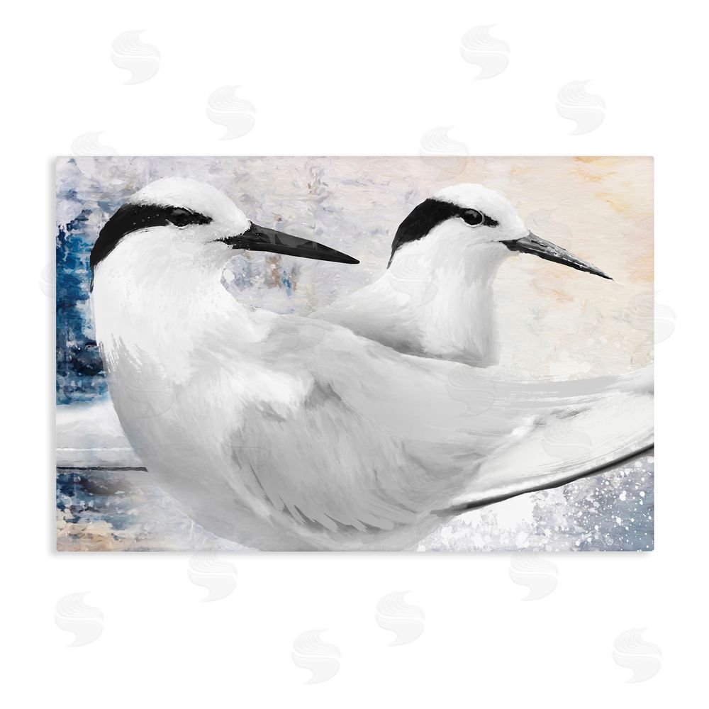Porter Hastings Black Naped Tern Stretched Canvas Wall Art Print