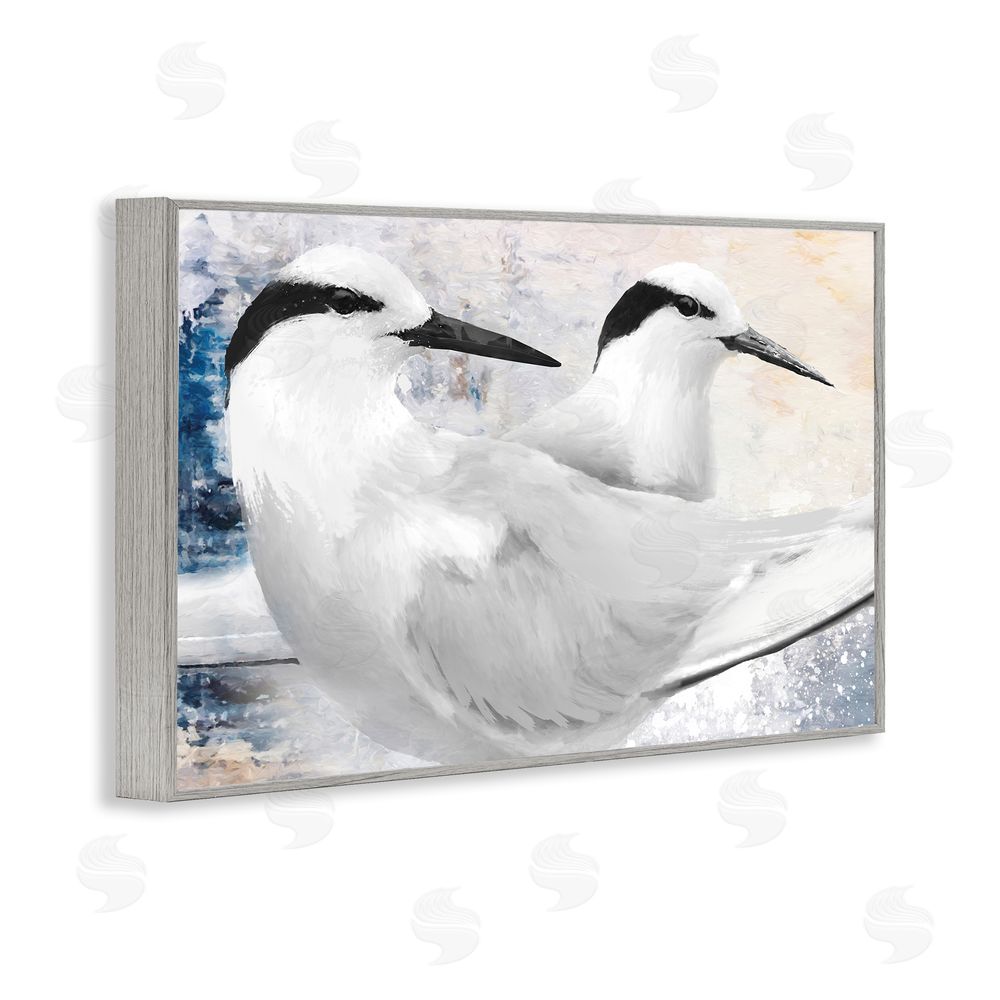 Porter Hastings Black Naped Tern Gray Framed Giclee Wall Art Print