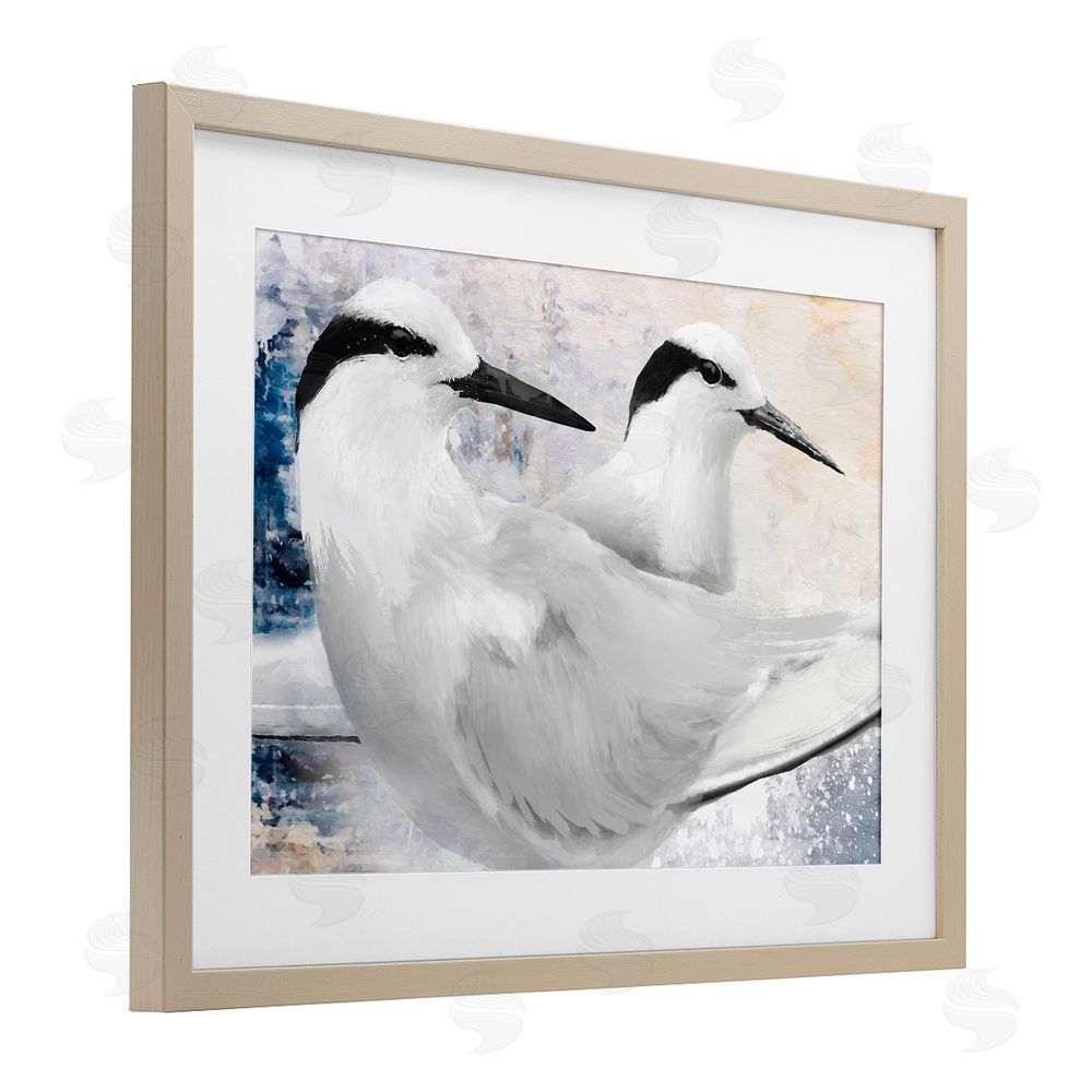 Porter Hastings Black Naped Tern Brown Framed Print Under Glass Wall Art