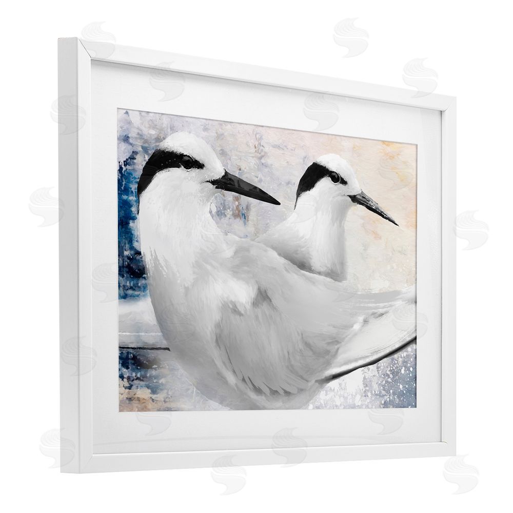 Porter Hastings Black Naped Tern White Framed Print Under Glass Wall Art