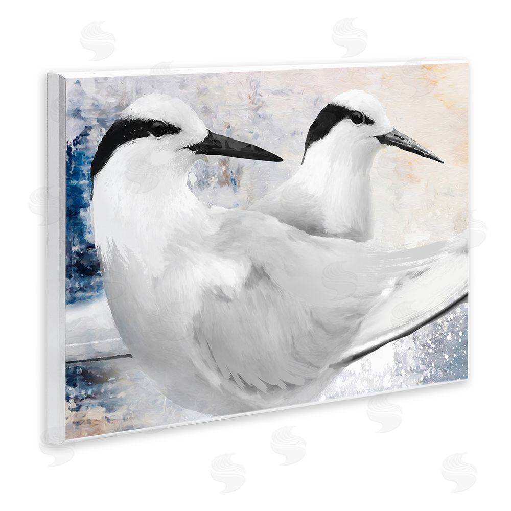 Porter Hastings Black Naped Tern Wooden Wall Plaque Art Print