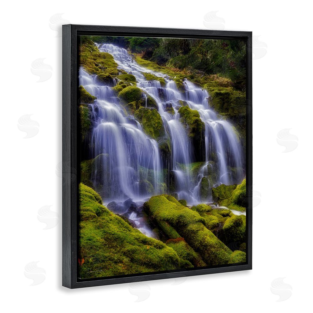 Dennis Frates Upper Proxy Falls Black Floating Frame Canvas Wall Art Print
