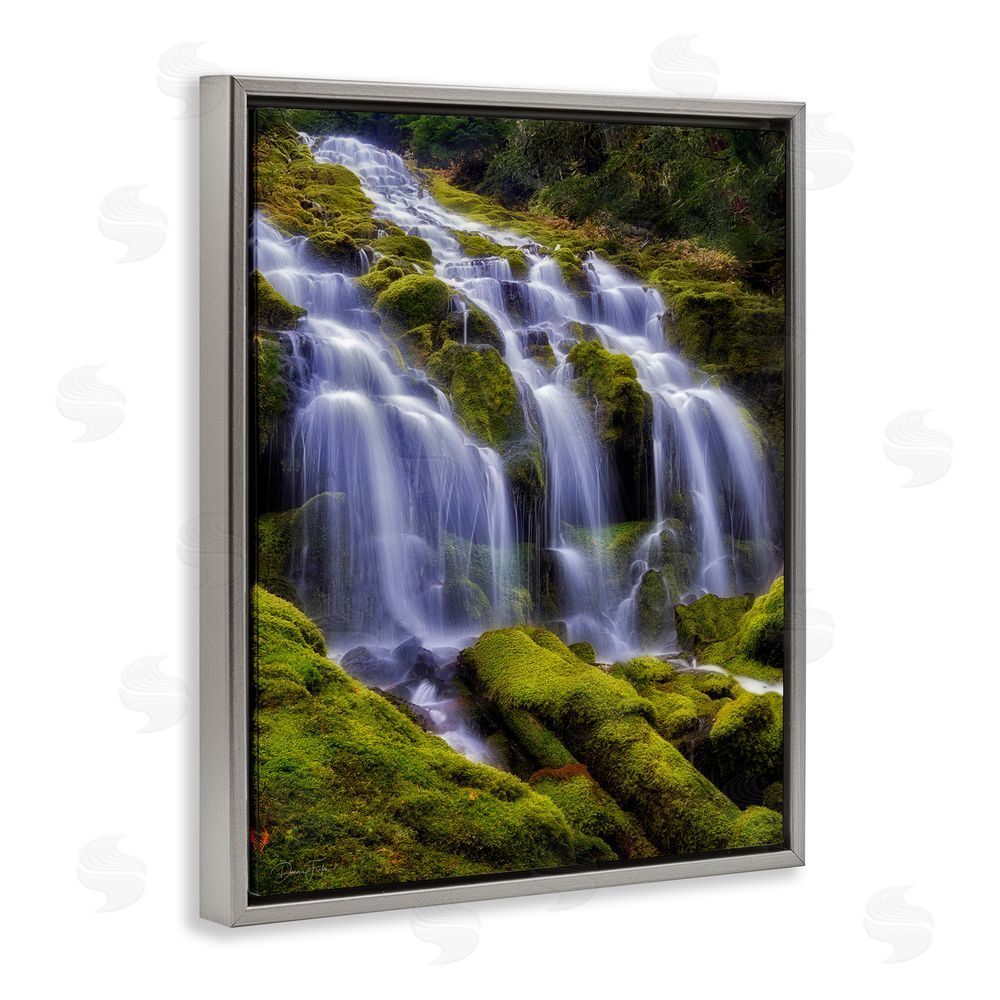 Dennis Frates Upper Proxy Falls Gray Floating Frame Canvas Wall Art Print