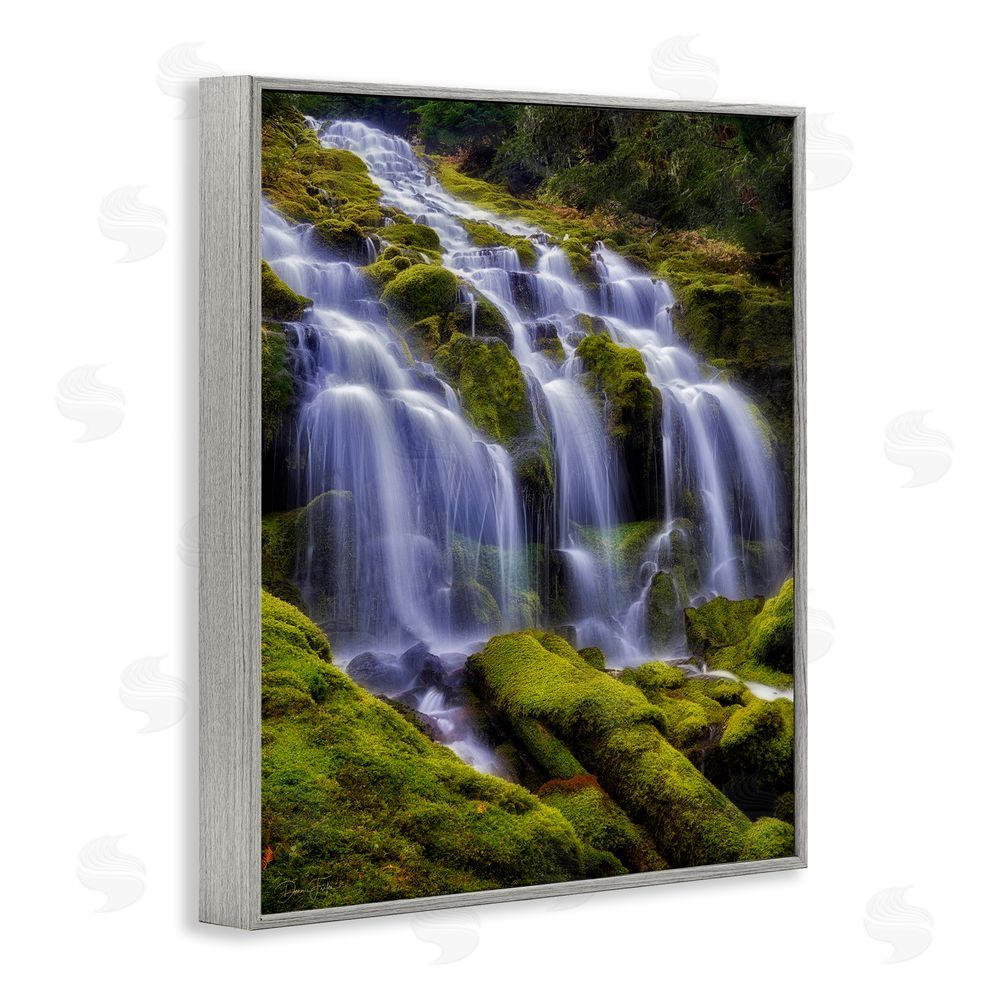 Dennis Frates Upper Proxy Falls Gray Framed Giclee Wall Art Print
