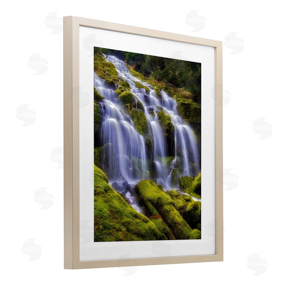 Dennis Frates Upper Proxy Falls Brown Framed Print Under Glass Wall Art