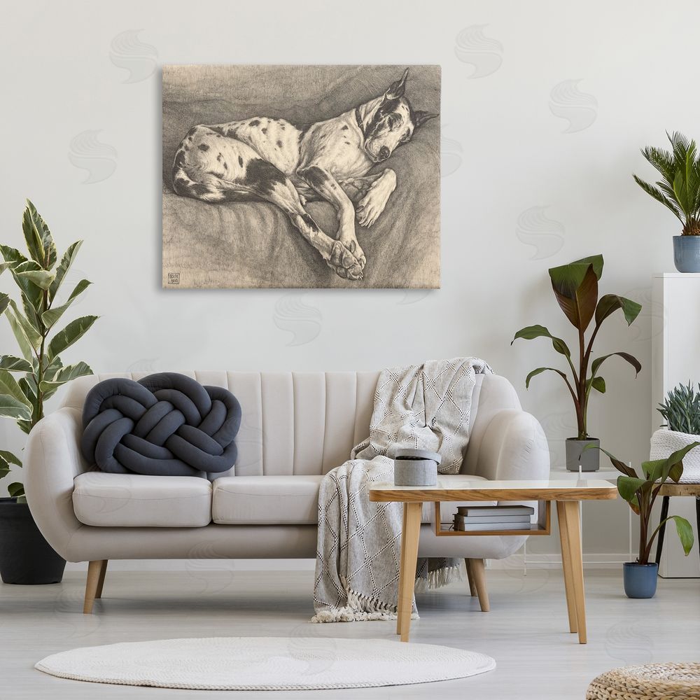 Bertha Van Hasselt Sleeping Hound Drawing Stretched Canvas Wall Art in Room