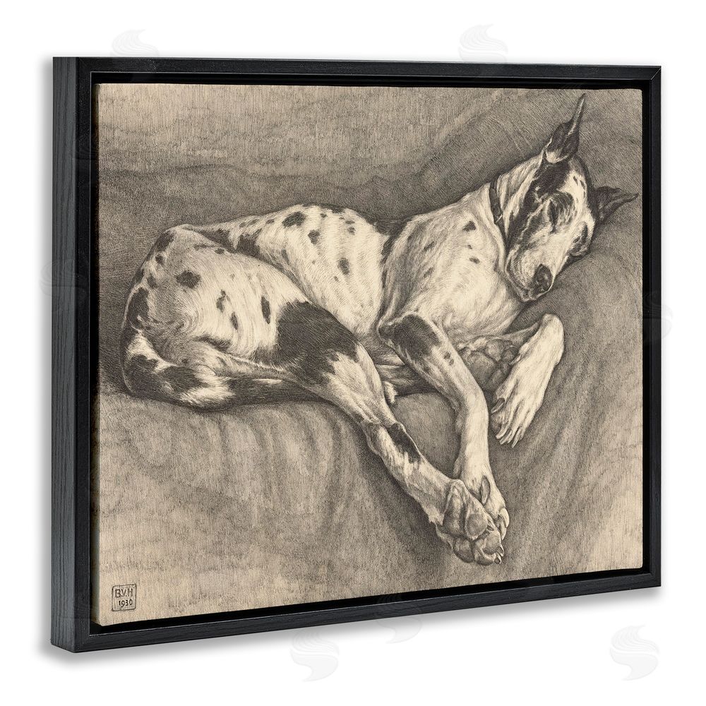 Bertha Van Hasselt Sleeping Hound Drawing Black Floating Frame Canvas Wall Art Print