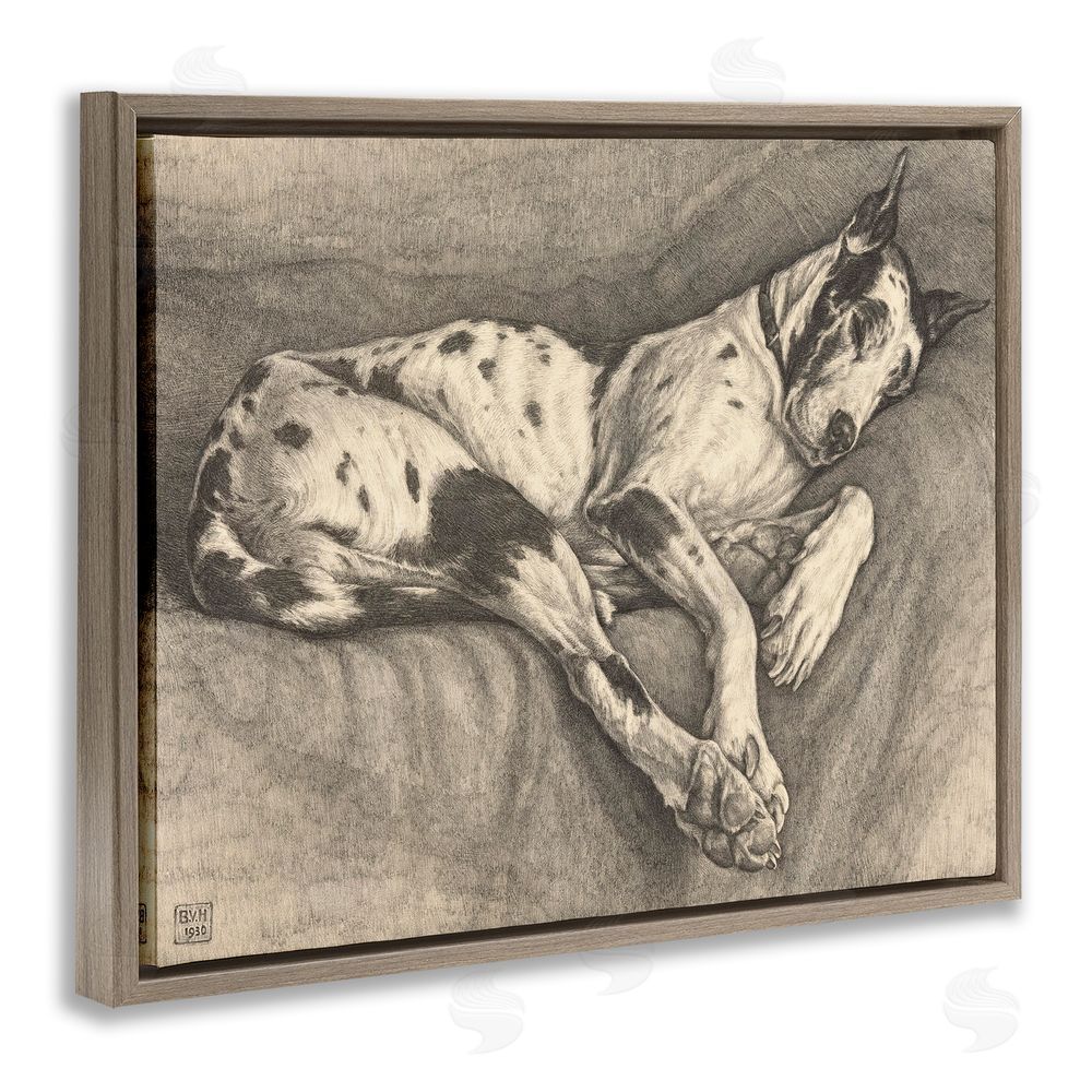 Bertha Van Hasselt Sleeping Hound Drawing Brown Floating Frame Canvas Wall Art Print